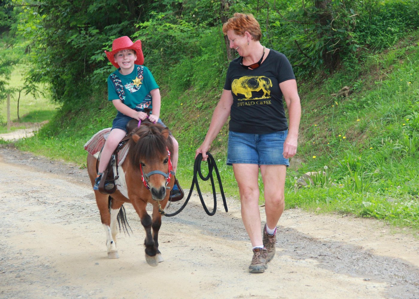 Children Mini Horse Rides